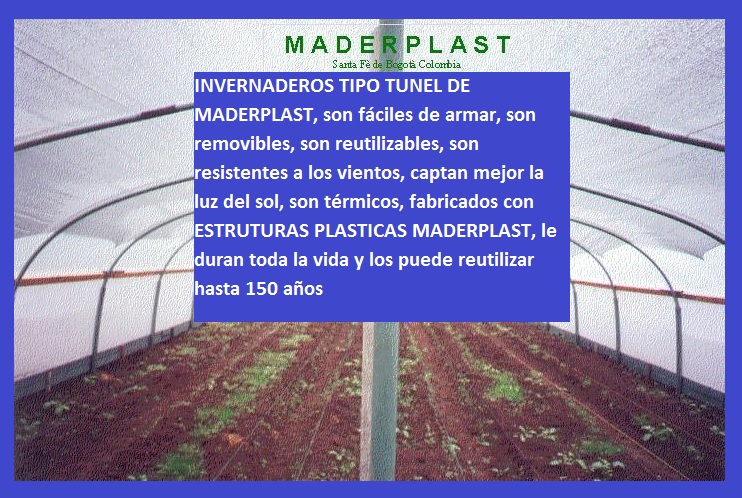 invernadero tipo túnel invernaderos iglú en madera plástica maderplast invernadero de cuarentena invernadero climatización invernadero calentamiento enfriamiento congelación secado congelar 004 invernadero tipo túnel invernaderos iglú en madera plástica maderplast invernadero de cuarentena invernadero climatización invernadero calentamiento enfriamiento congelación secado congelar 004